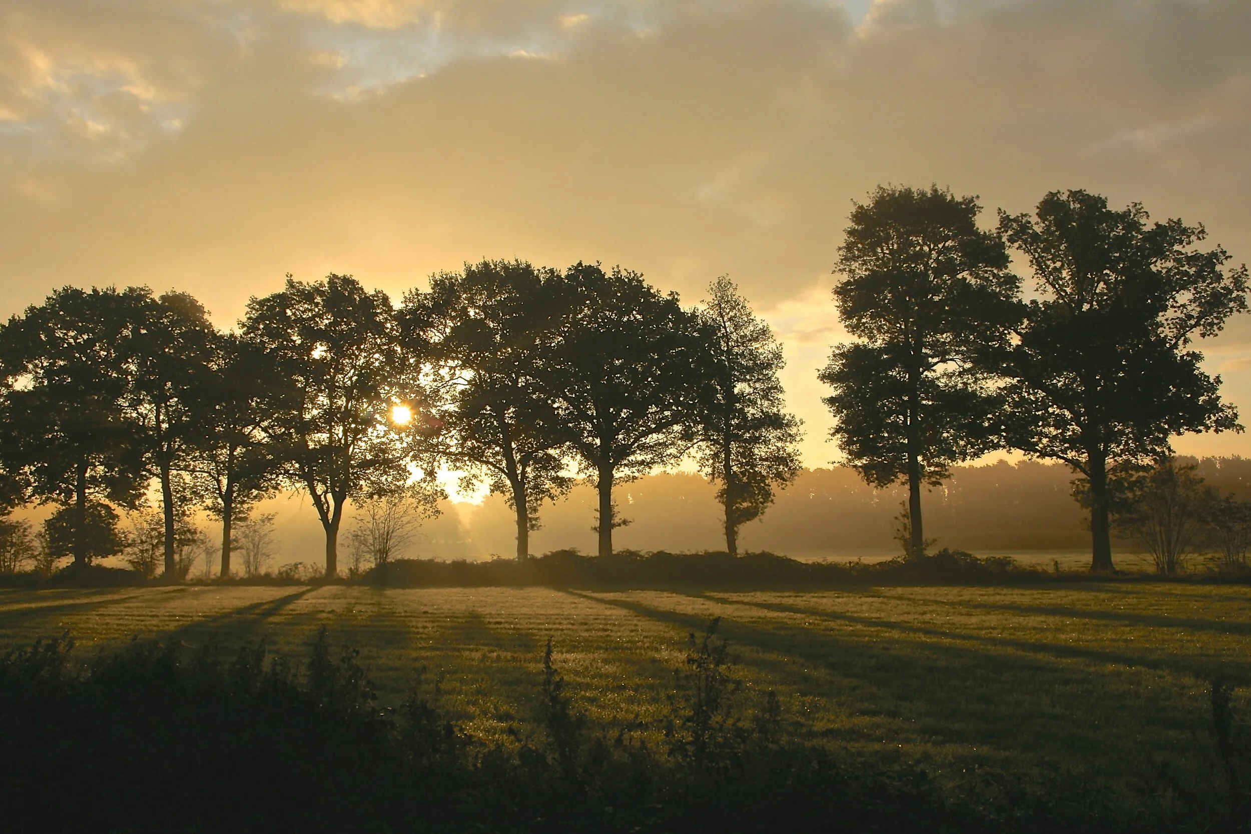 The Land