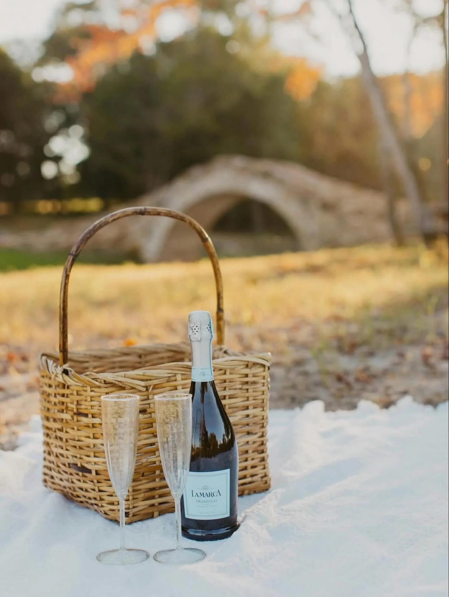 A Perfect Picnic