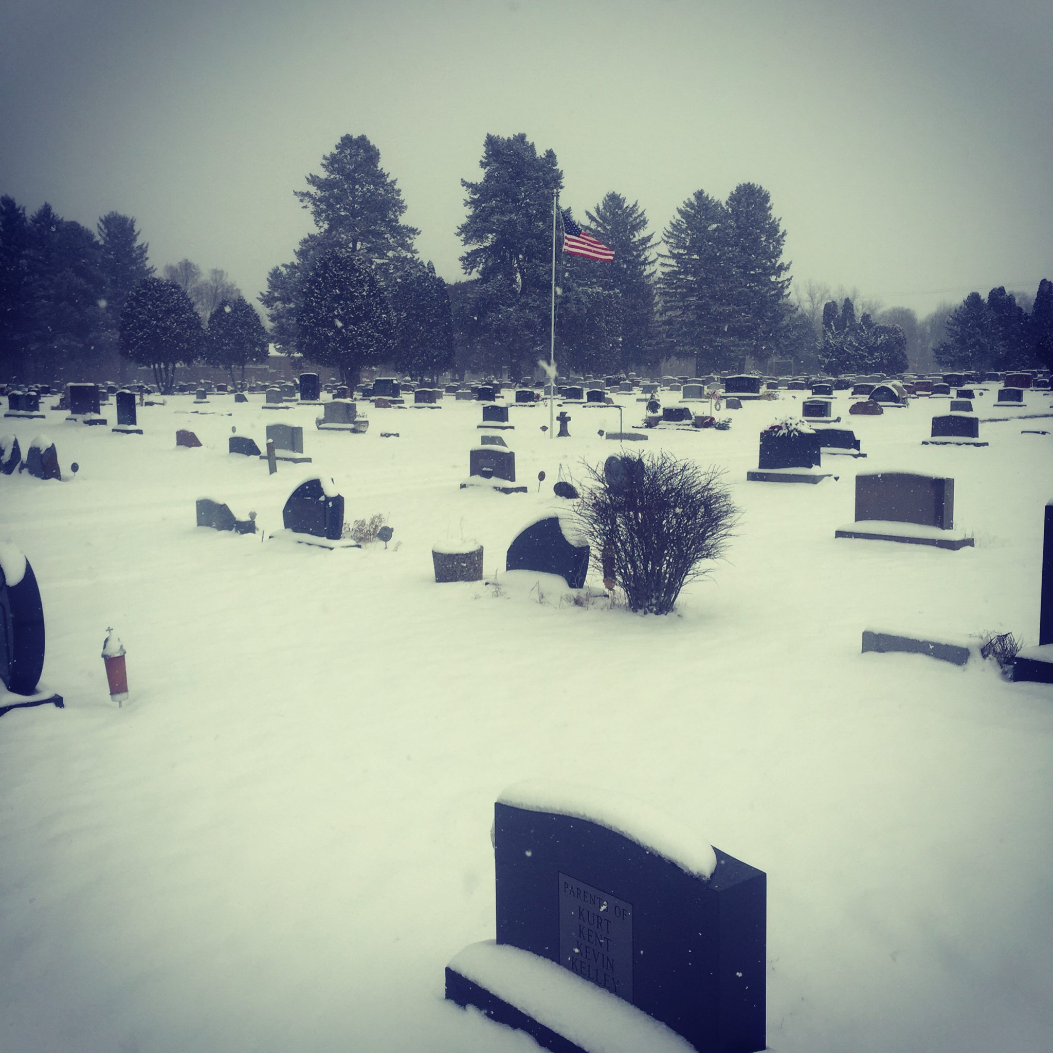 2015-01-06-12.23.50-2.jpg