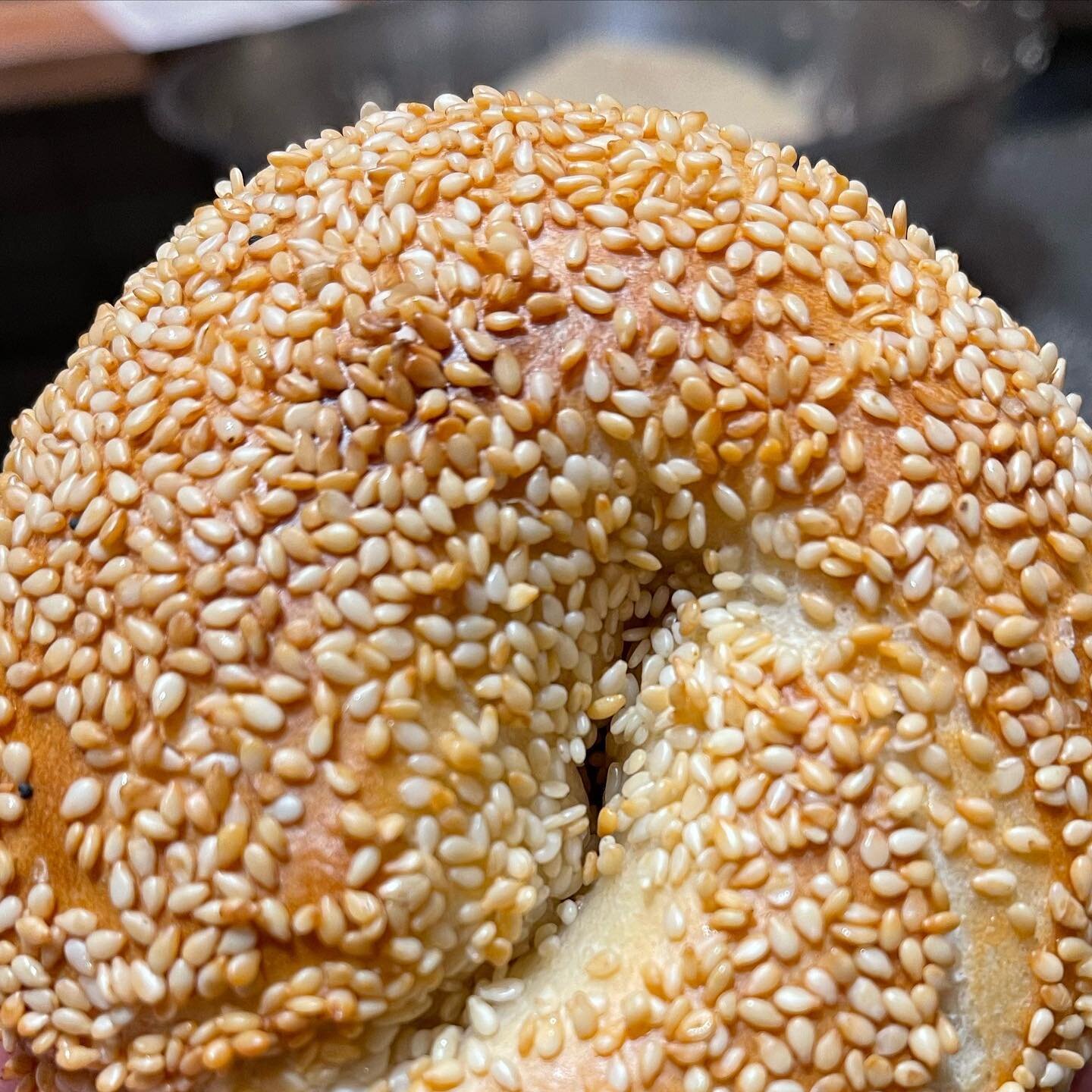 Hello perfect sesame!