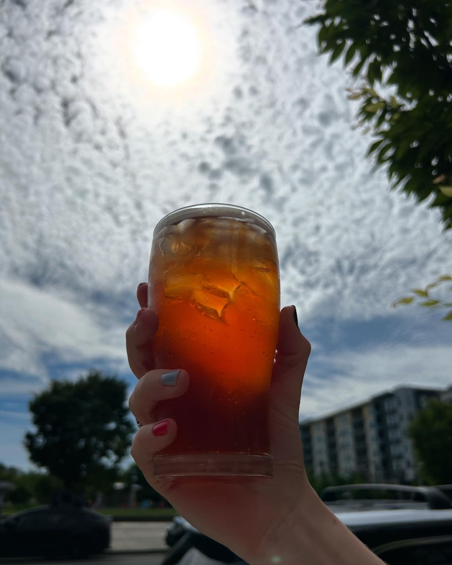 Come to Redmond and try our ✨NEW✨ Sparkling Strawberry Honeybush iced tea! This tea is a sparkling tea sold on tap! Caffeine-free with a strawberry infusion of Rooibos and honeybush tea and a hint of vanilla. 

This is our newest addition to our Summ