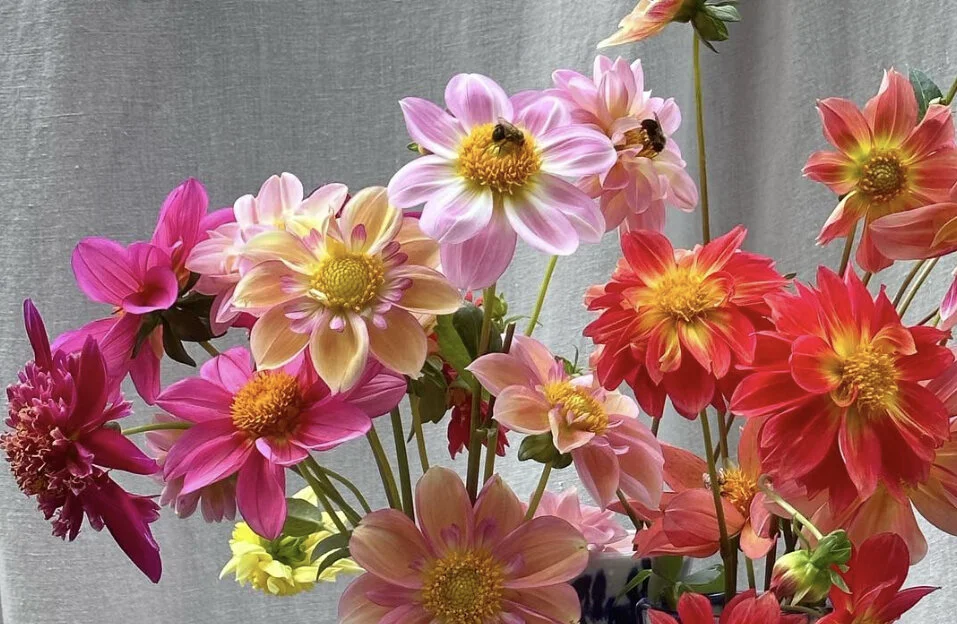 941F07A8-86D4-449C-B3DB-8F6D85E89FA8