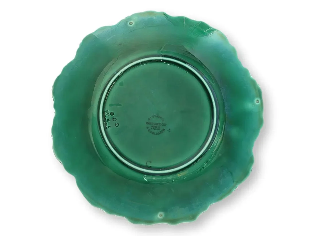 plates 3.webp