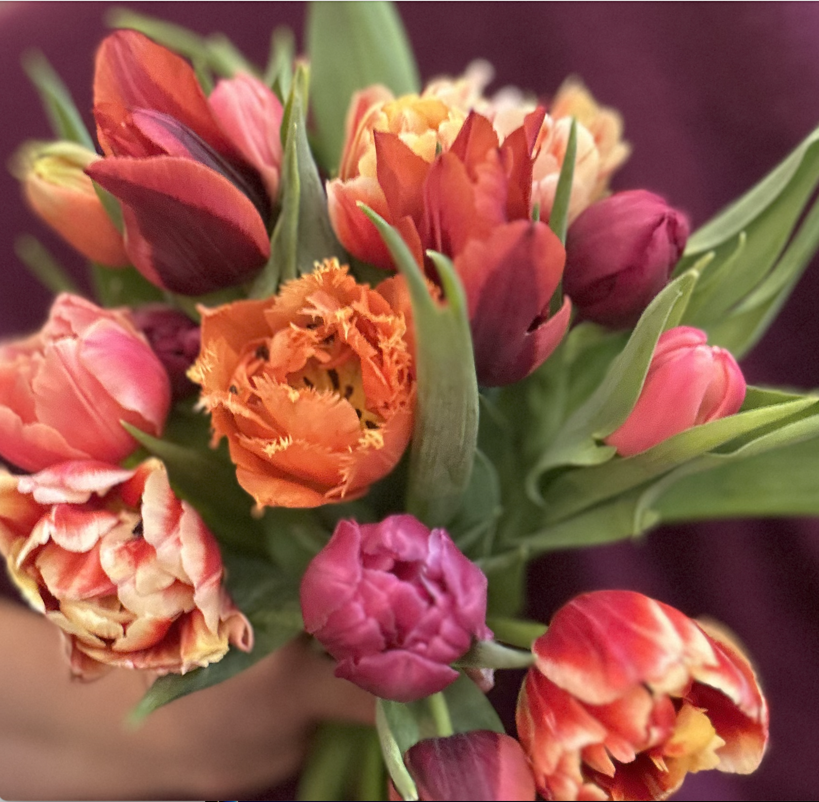 Valentine's Day Flowers! Pick Up Only, in Weston CT.