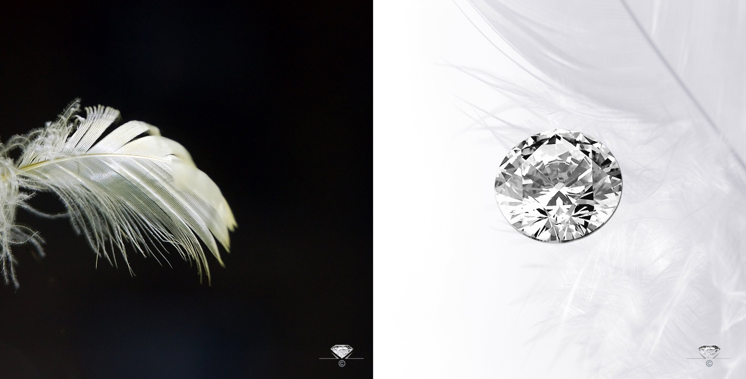 cd book 4_5 air 7.5h x 15w copy.jpeg