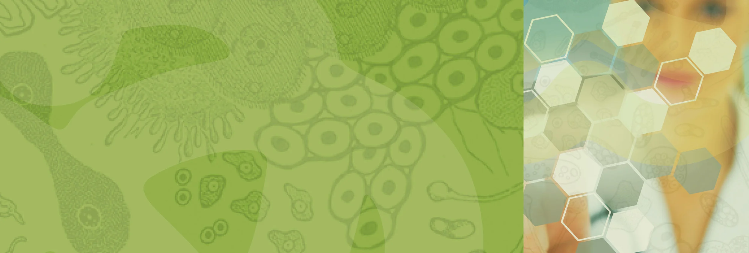 nutritional banner.jpg