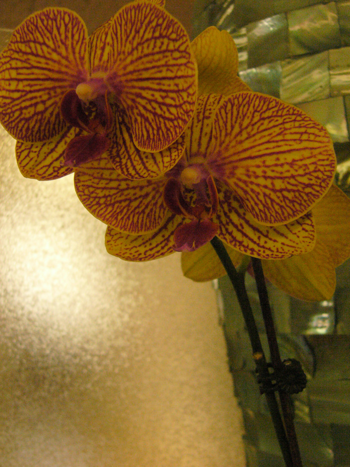 P1260361.jpg