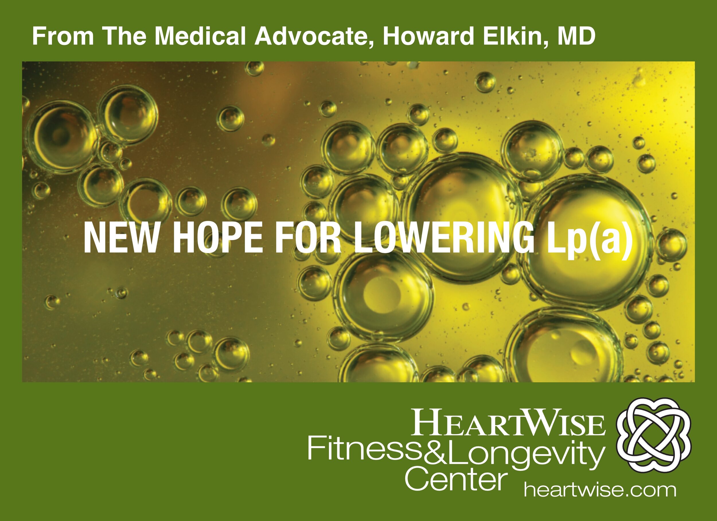  NEW HOPE FOR LOWERING LP(a)