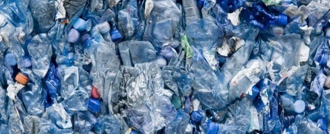 BISPHENOL&nbsp; A (BPA) EXPOSURE &amp; RISK OF DEATH