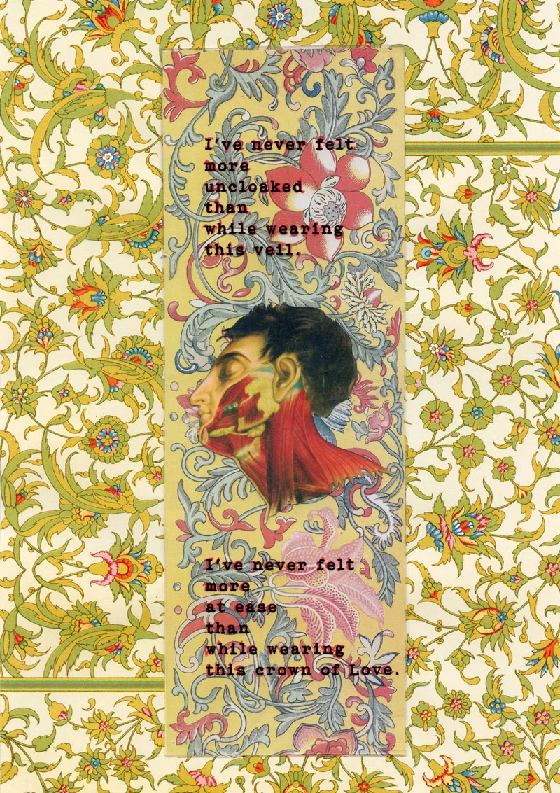 Camollage #8, 2011