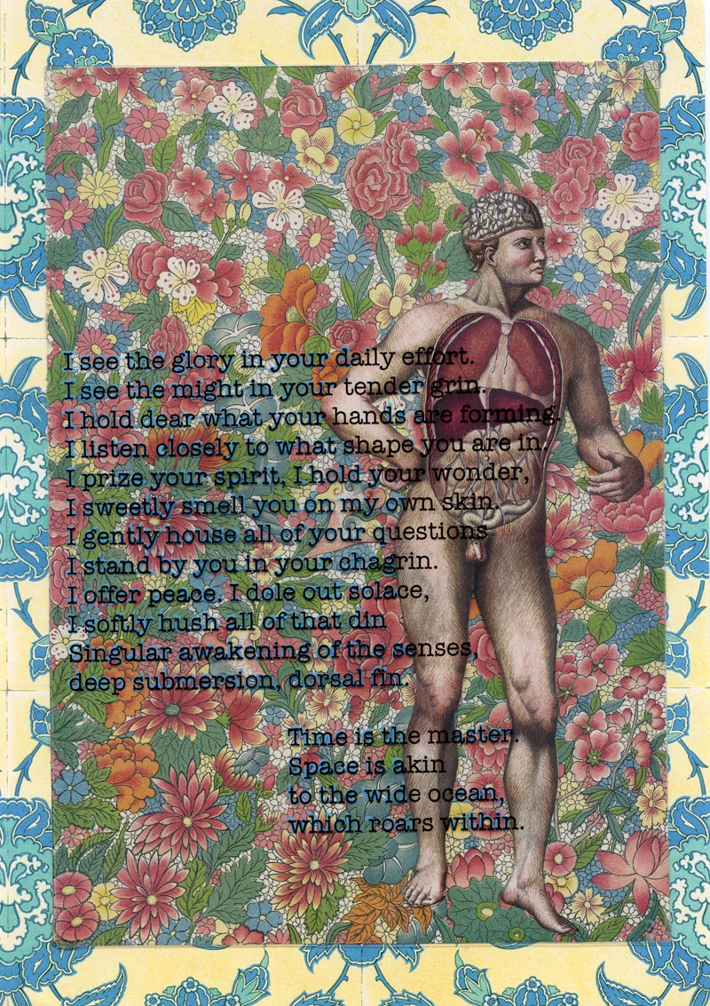 Camollage #11, 2012