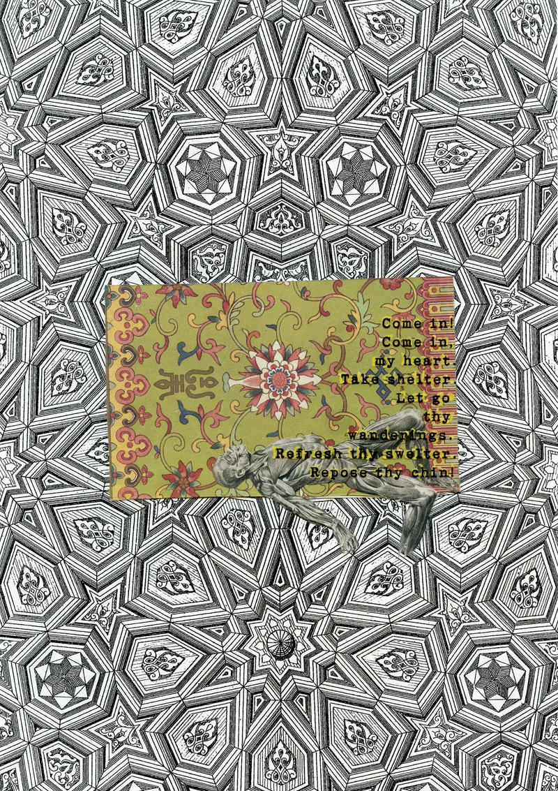 Camollage #20, 2011