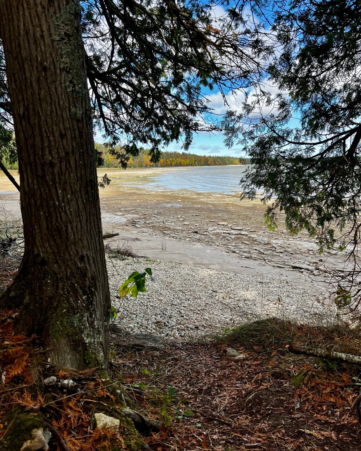 🌲How to Book Your Stay
To rent A8 Evergreen Hill, call or email Julie's Park Cafe &amp; Motel.
📞 (920) 868-2999
📧 relax@juliesmotel.com

Vacation Rental | Fish Creek | Door County | Interior Design