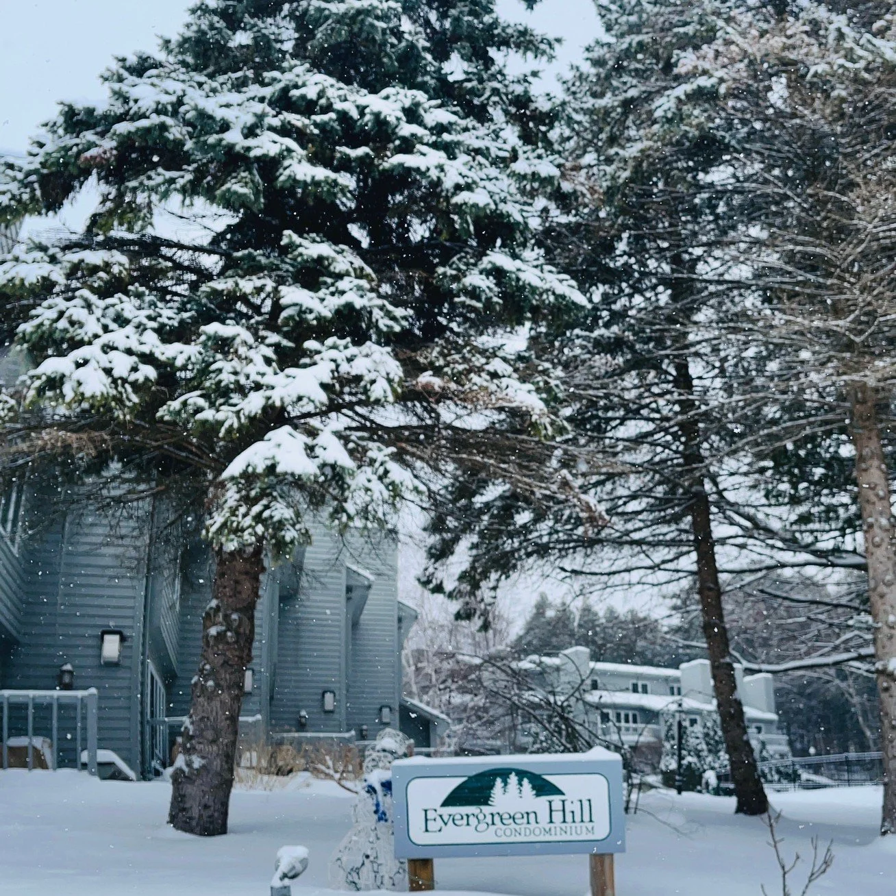 Snow falling outside A8 Evergreen Hill = pure quiet season magic ❄️✨
Fewer crowds, peaceful views, and a whole new way to enjoy Door County.
Bundle up, slow down, and soak it in.

🌲How to Book Your Stay
To rent A8 Evergreen Hill, call or email Julie