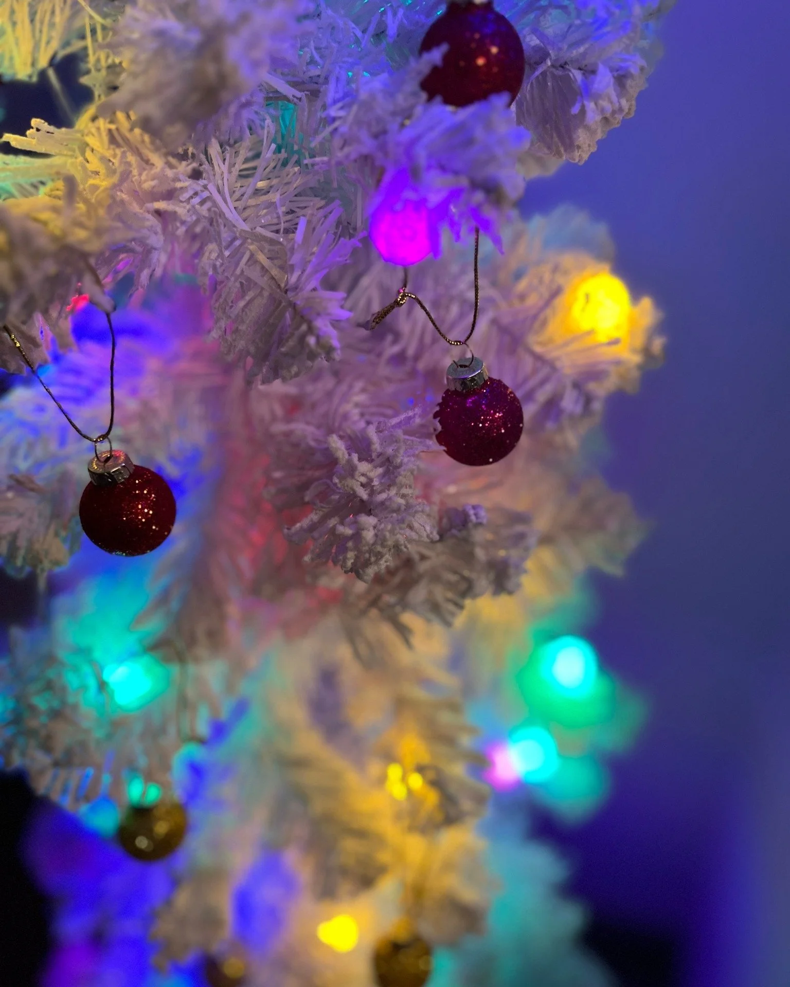 ✨ Small but mighty in holiday spirit! 🎄
This little white tree at A8 is glowing bright with color &mdash; proof that even the tiniest touches can make a space feel festive and full of cheer.

A8 still has openings this month. Deck your own halls wit