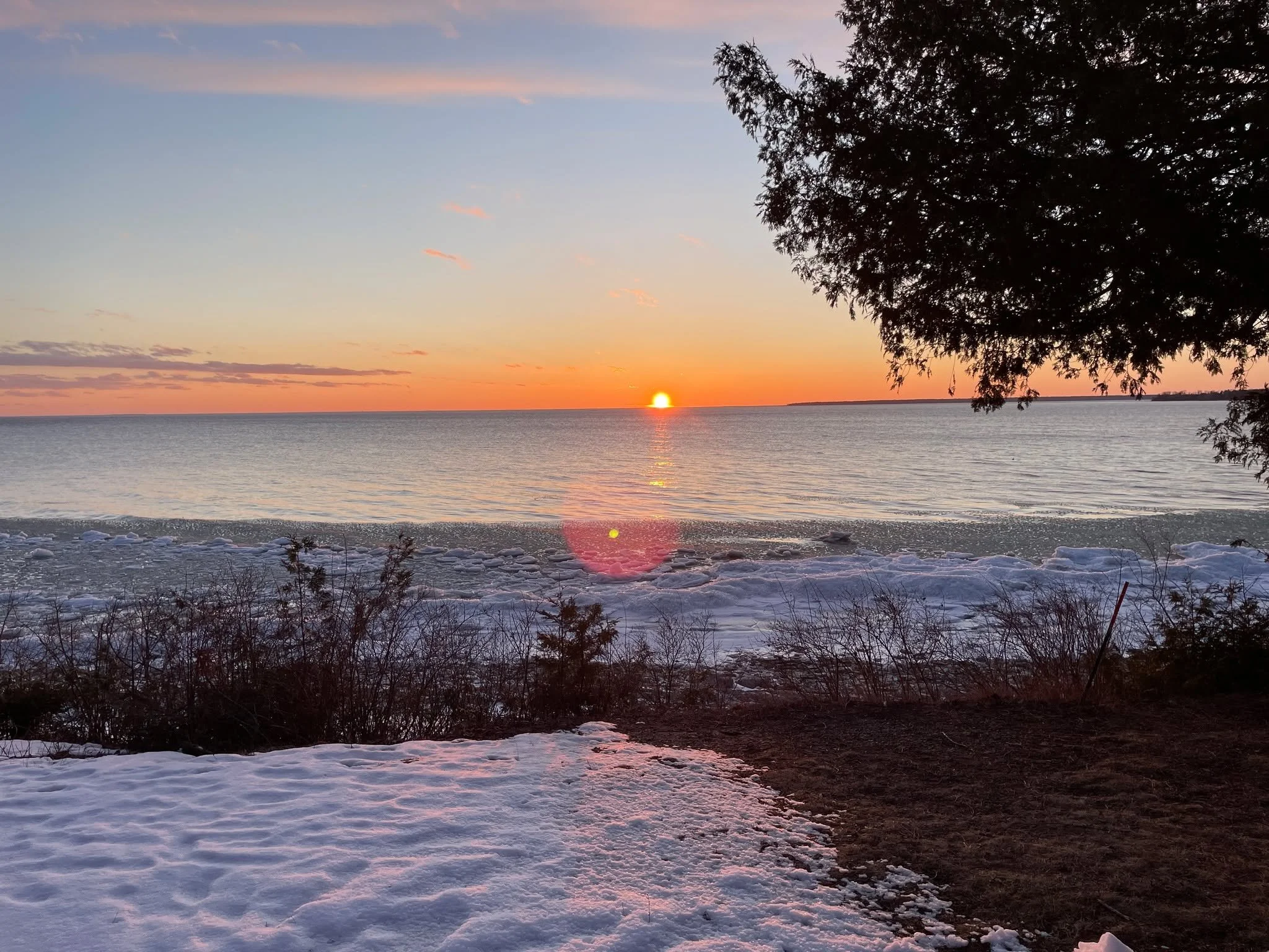 Reasons to book A8 in February:

1. Jan 16-18 for Wellness Weekend. Guided walks, retail therapy, classes, and more! Check out the schedule. There's something for everyone. 
2. Jan 22 for a Nordic Fusion Dinner Experience at Harbor Fish Market. Come 