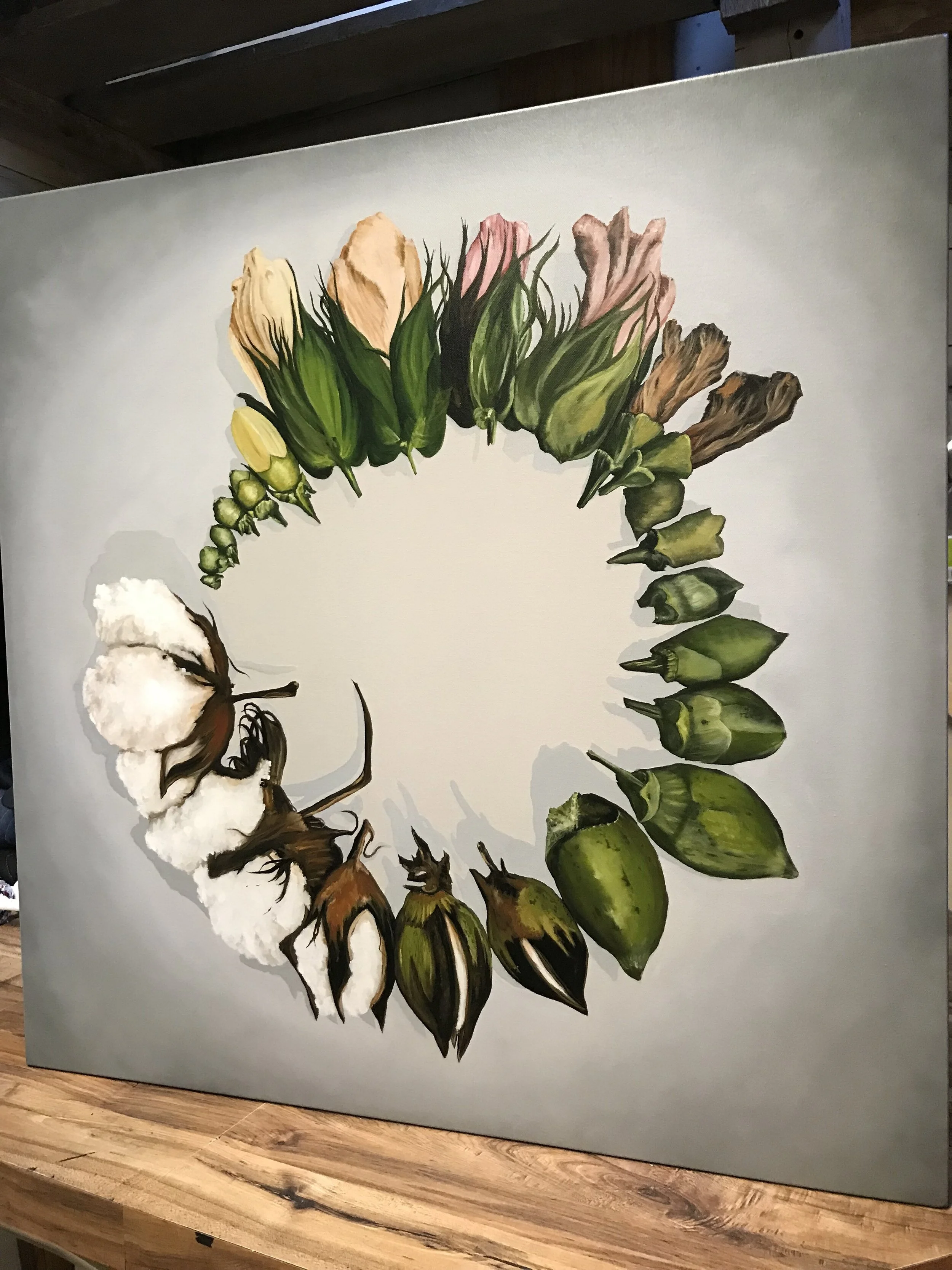 Fine Art Giclee Print on Canvas 30x30 Stages of Cotton