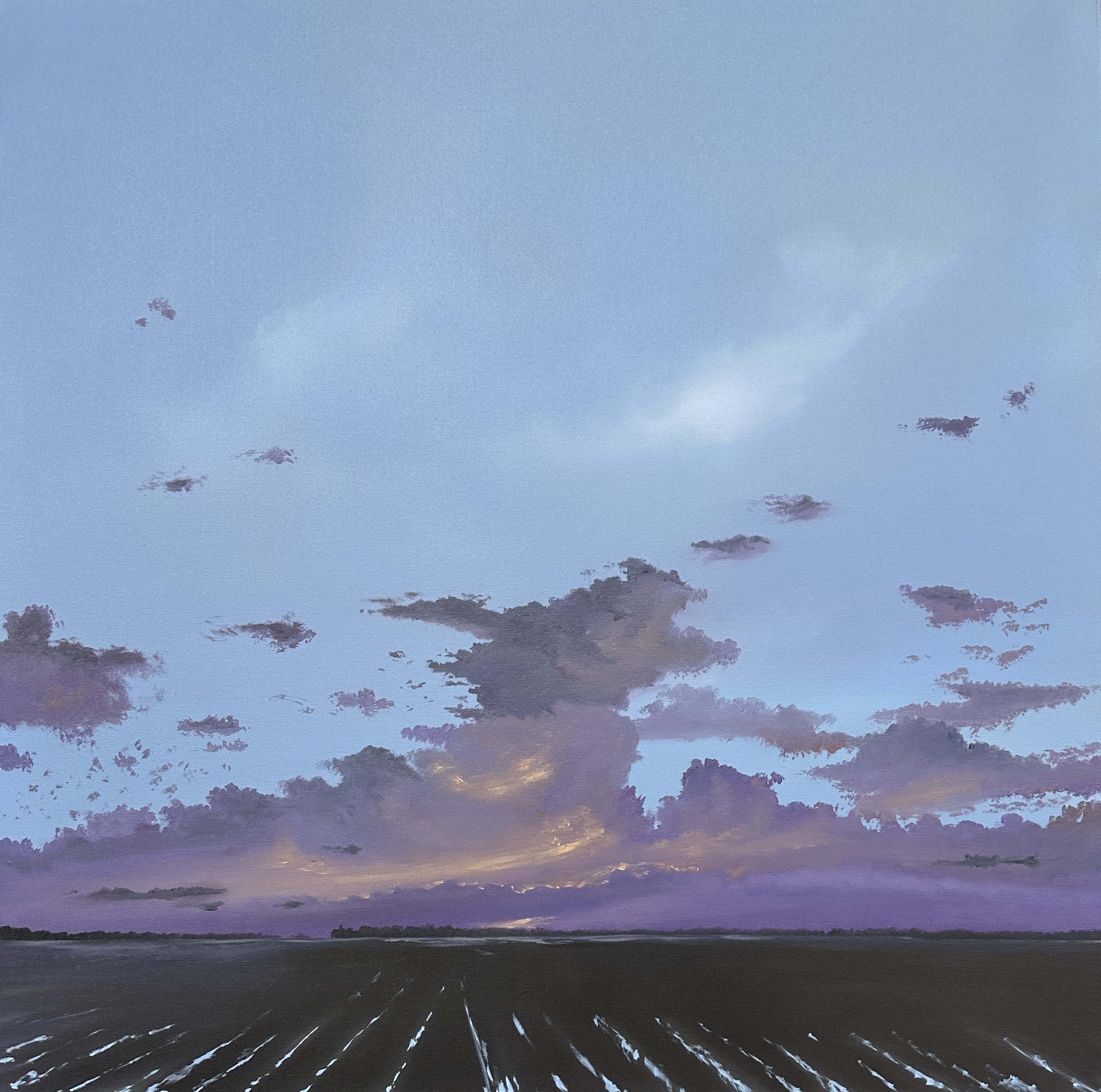 Purple Majesty 36x36.JPG