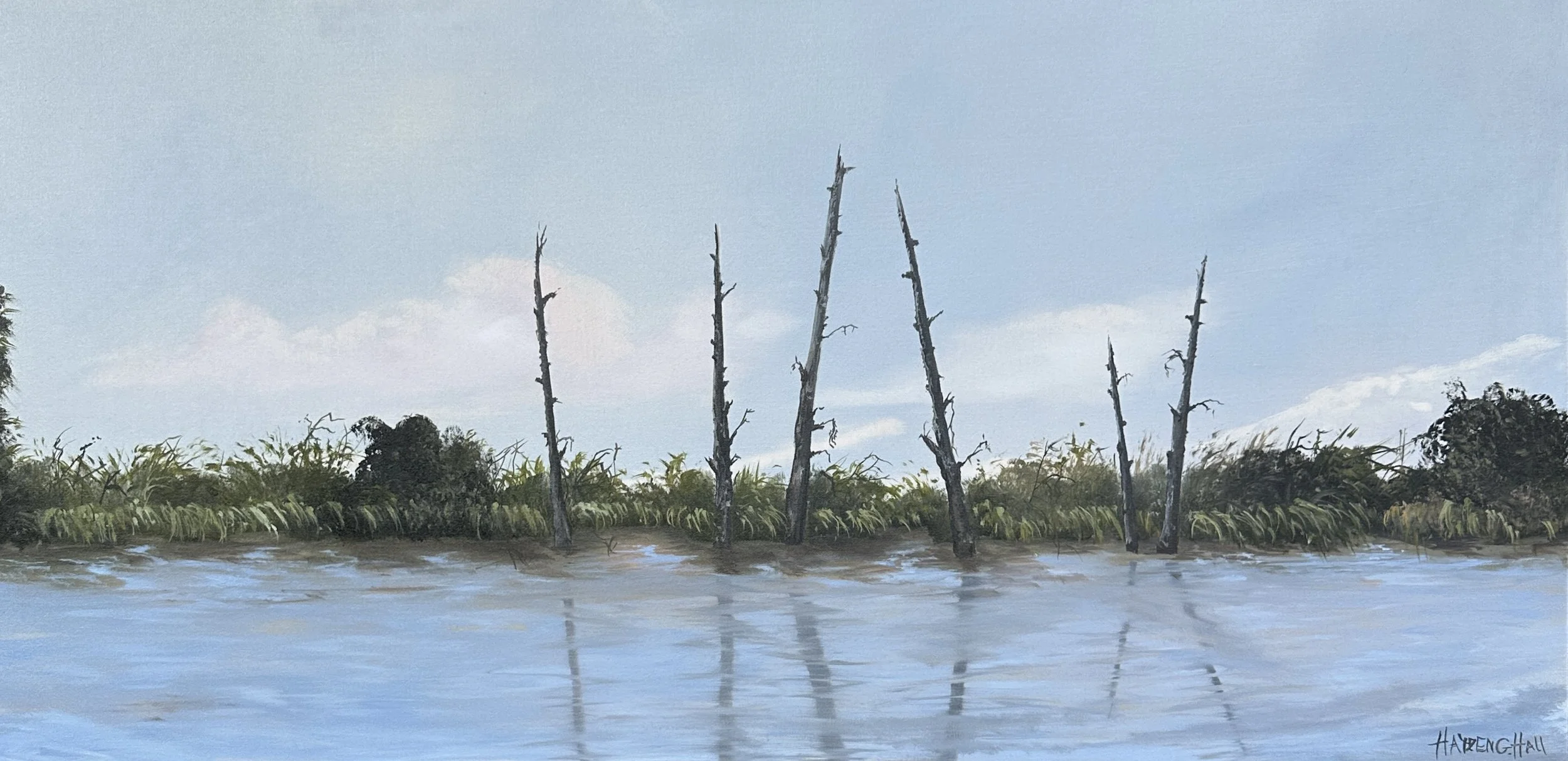 CYPRESS TREES.JPG