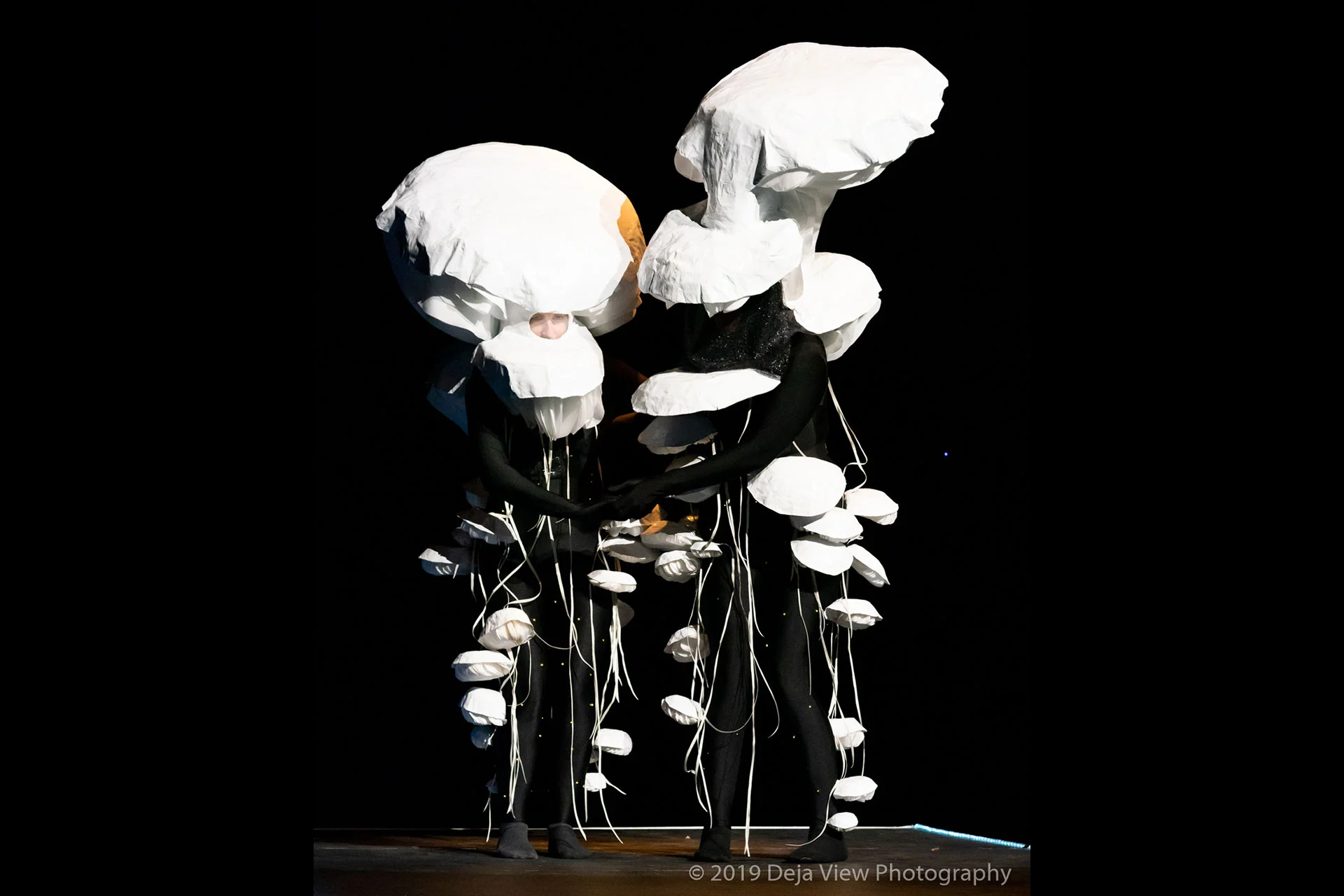 Mycologistical