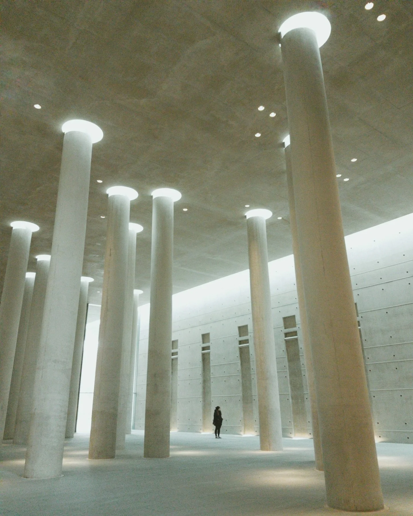 Who was following me in 2016? 👀 
Looks like we&rsquo;re revisiting it, so here are a few of my photos. Back then, I was pretty sure these were absolute masterpieces 😂
I was still learning the basics of photography, taking photos with a simple compa