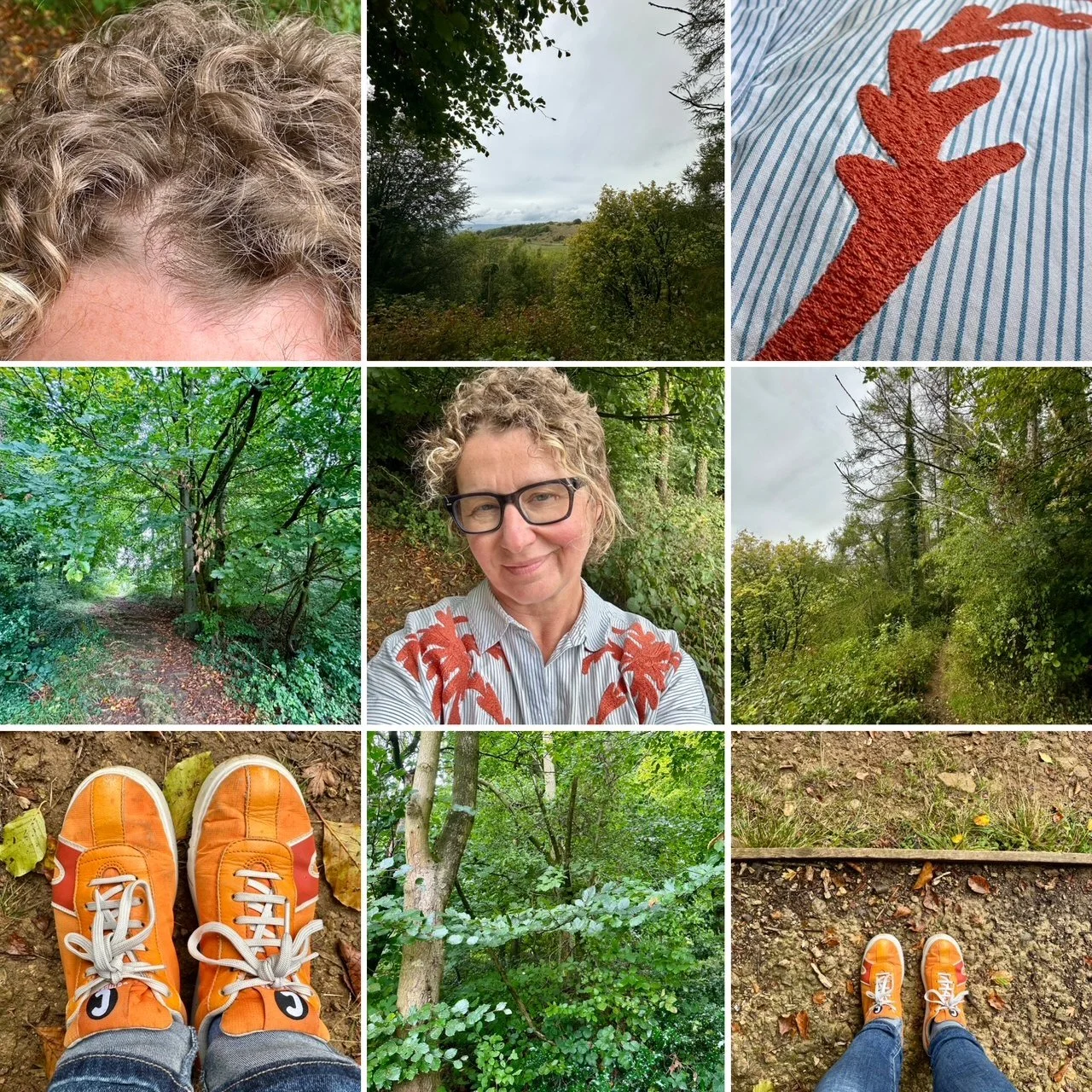 An Unfolding Path: Nature, Creativity & Deep Noticing — Look Again ...