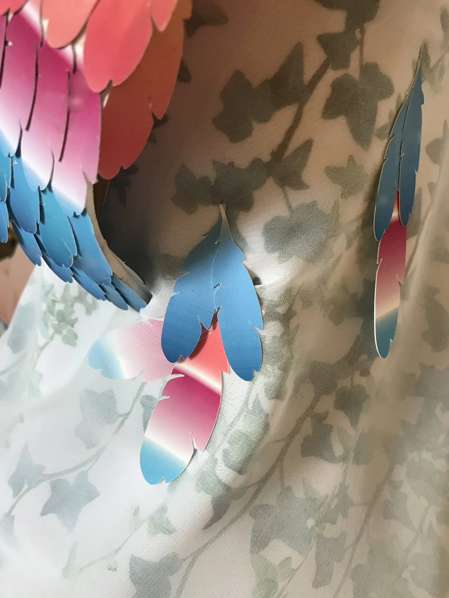 20170405_181512144_iOS.jpg