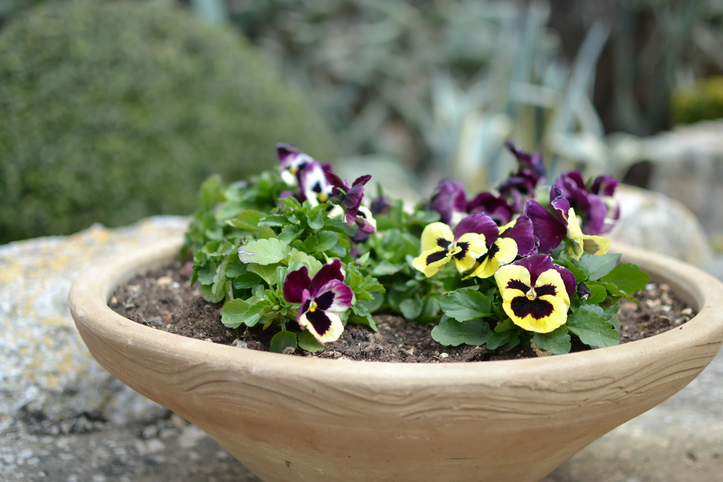 Remembering Anne McGough - A Gifted Artist, Creative Chair and Great Friend