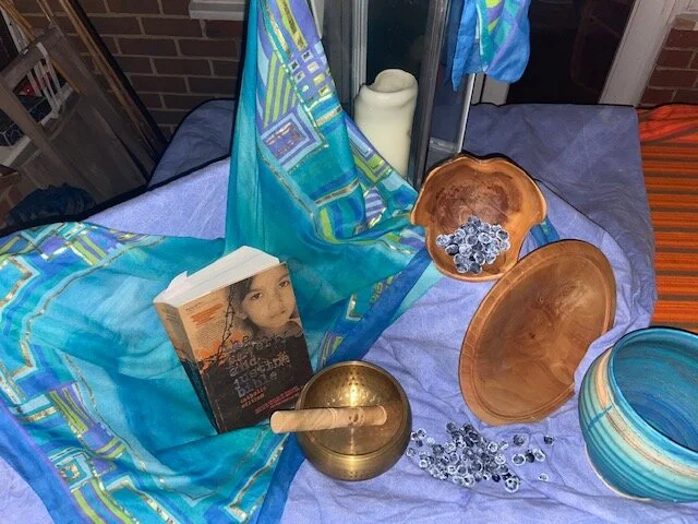 CPW Virtual Summer Week in Review | Day 5 - A Report on A Talk on Zimbabwe