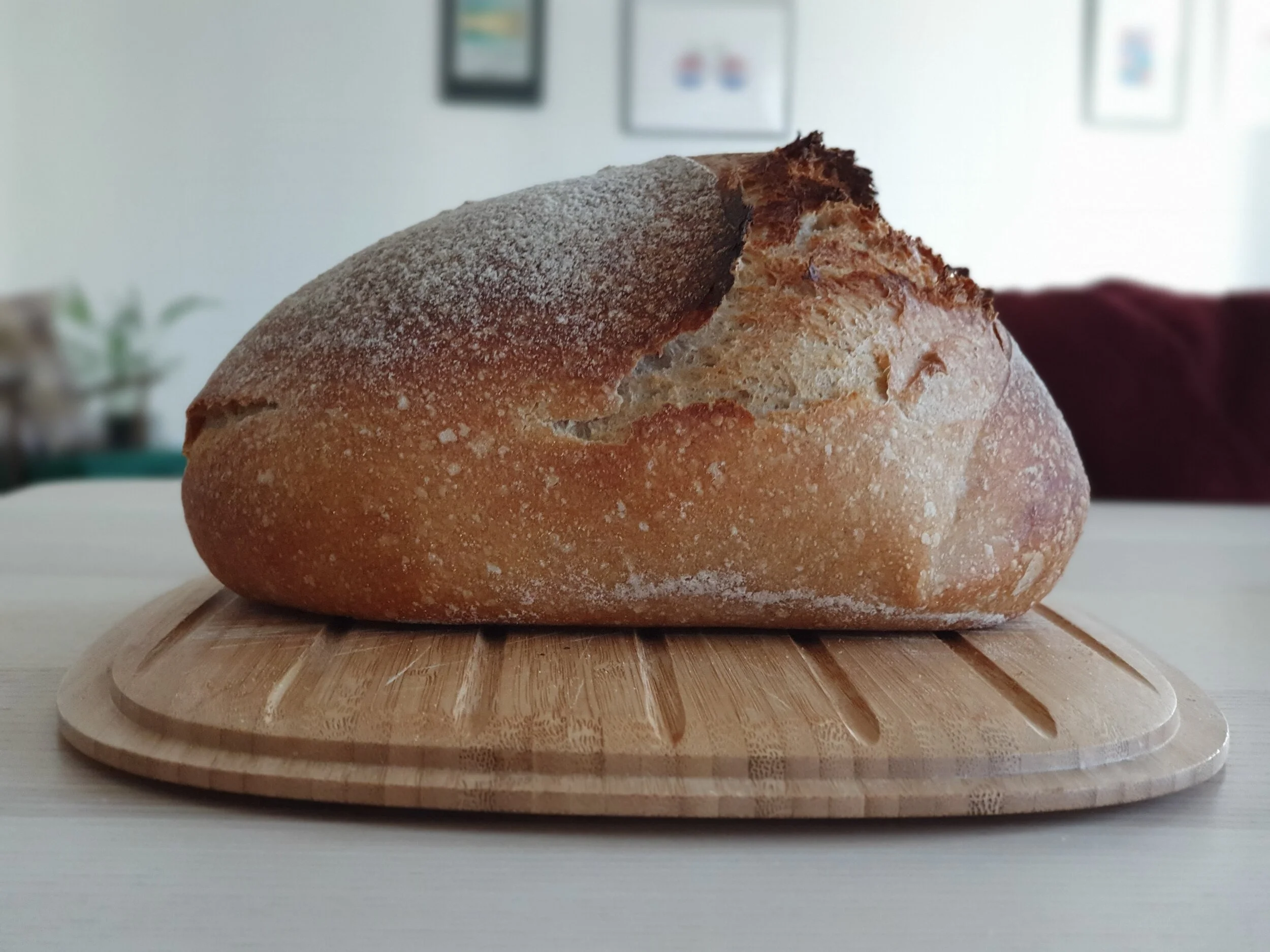 Chair's September Blog: Rediscovering Loaves of Real Bread 