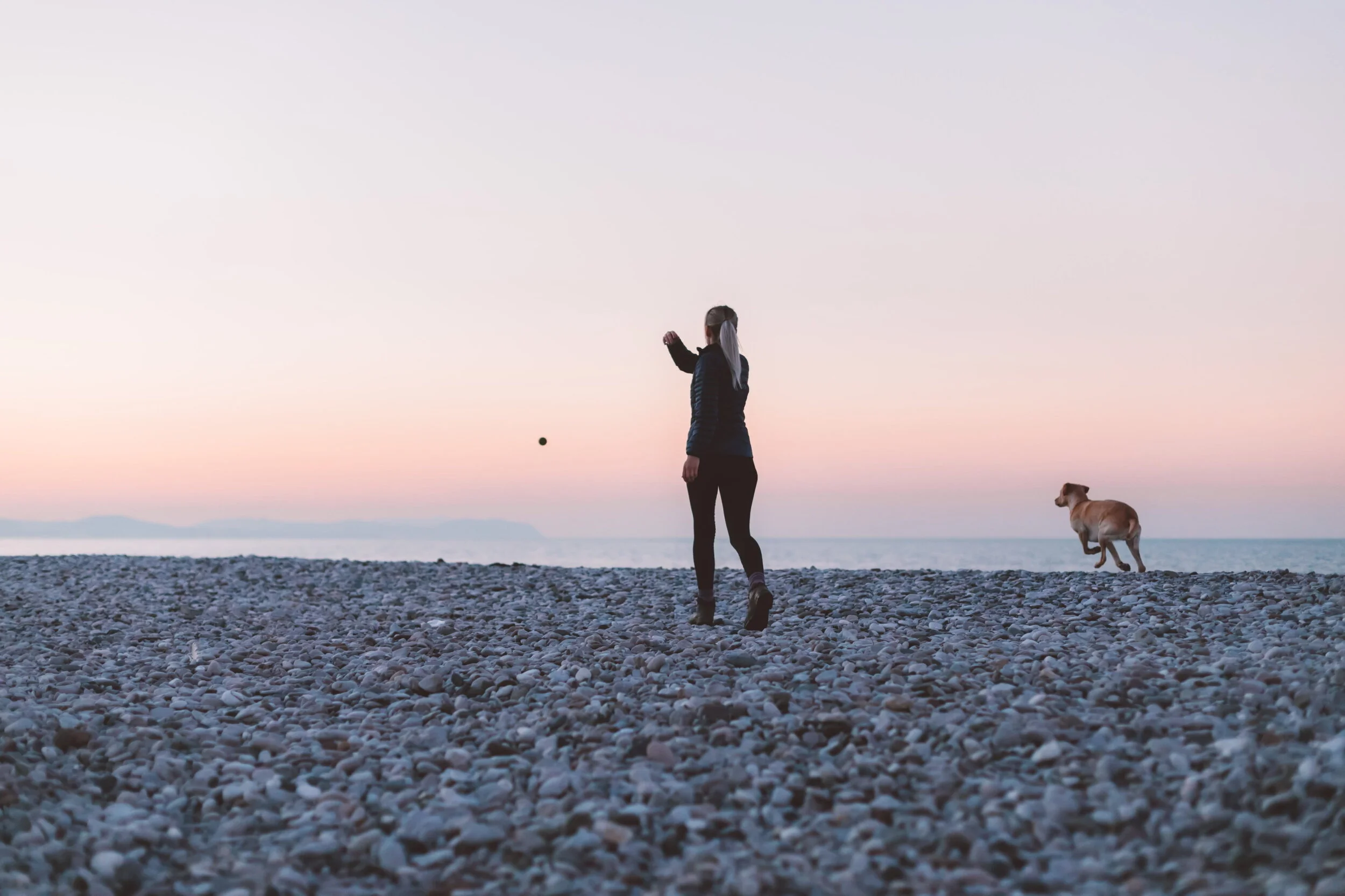  Chair's October Blog: Dogs,&nbsp;a Bag and a Bicycle - Lessons on Community