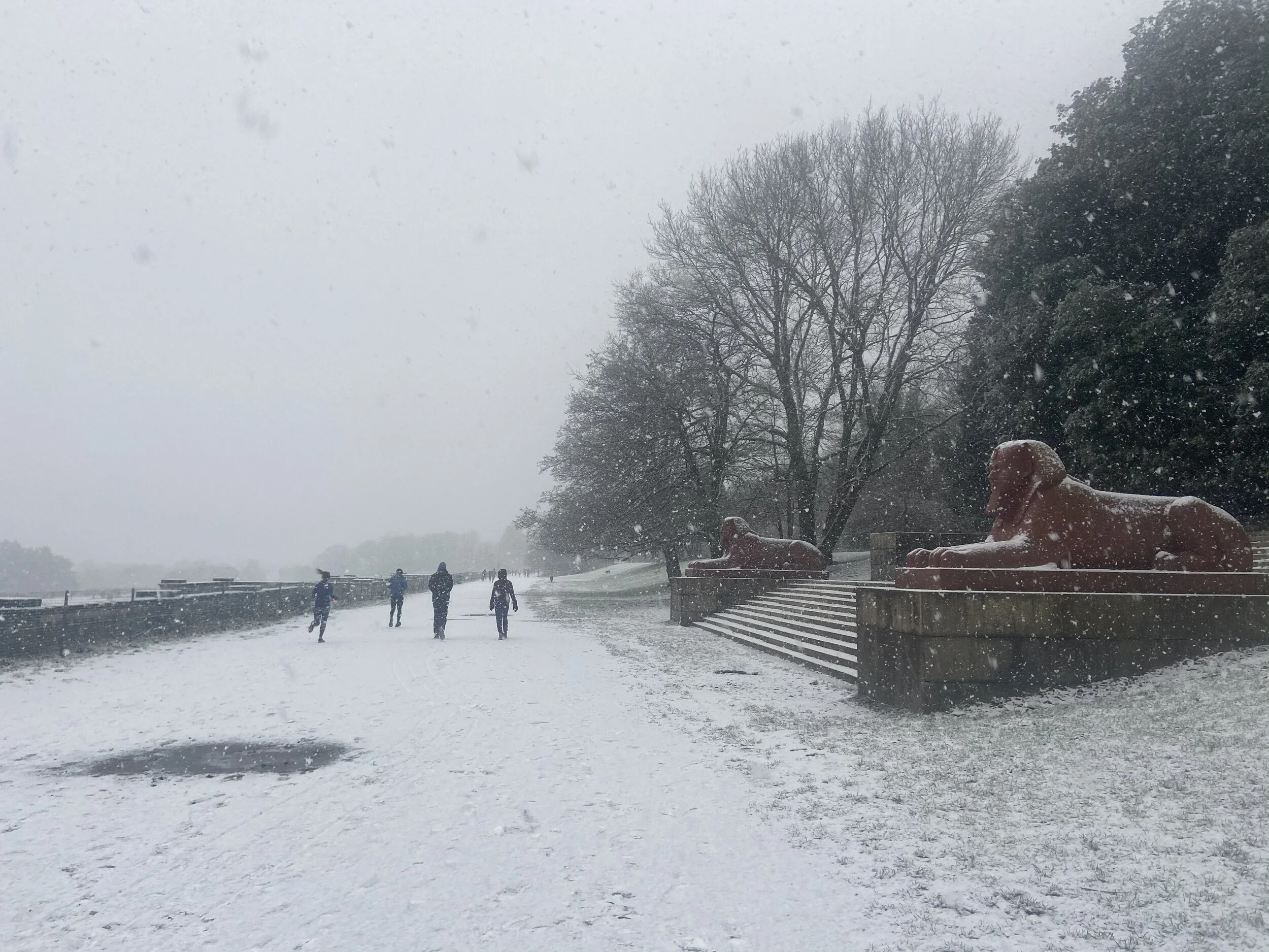 Chair's January Blog: Wintering with CPW