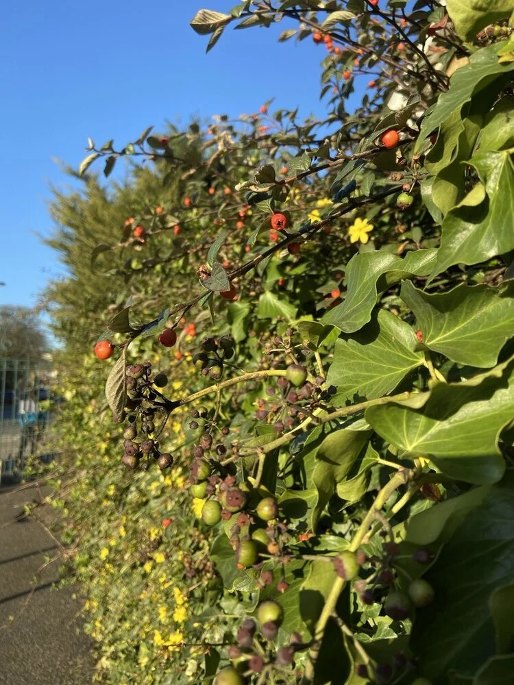 Report: Autumn All-Age Weekend