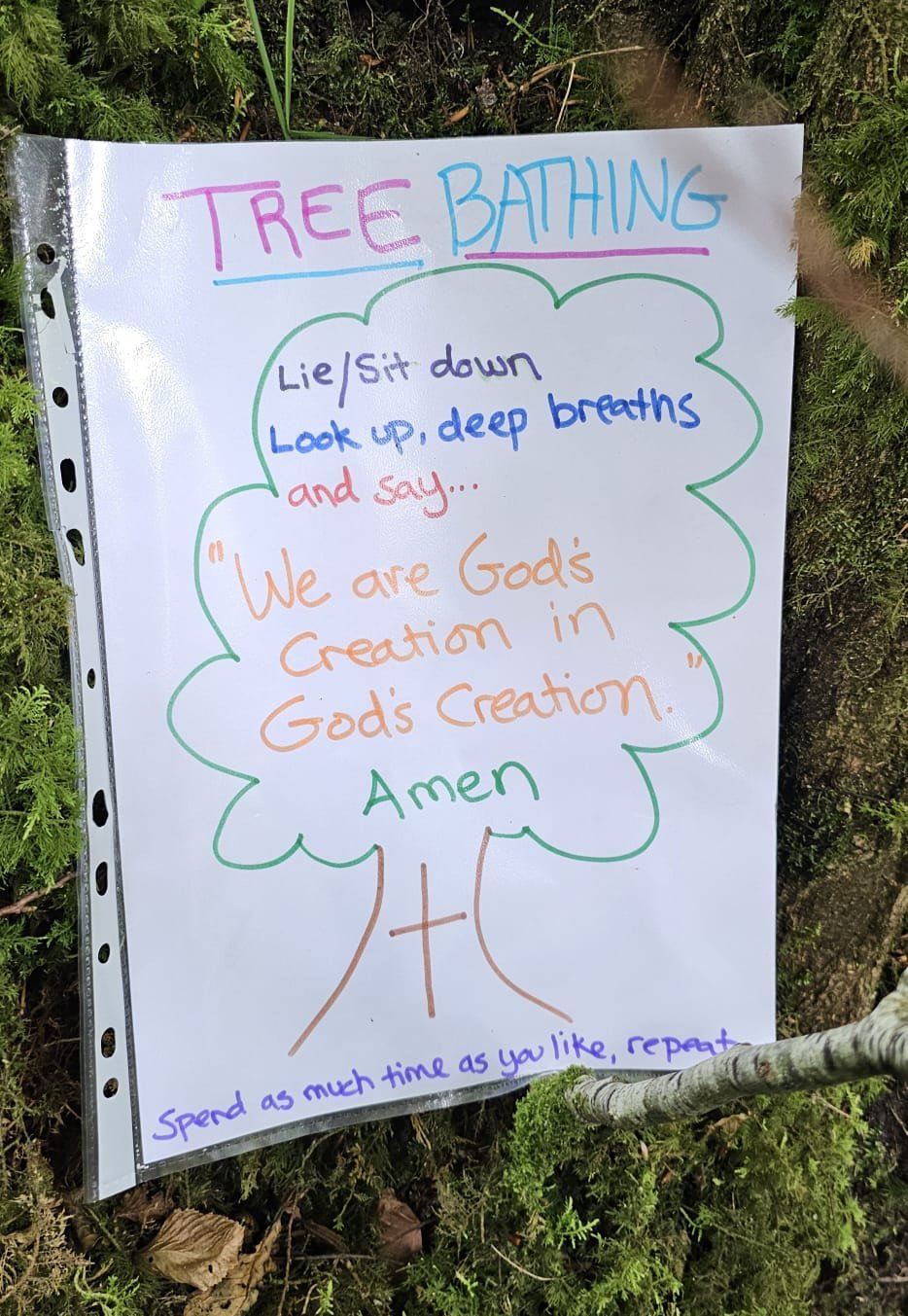 Tree bathing instructions.jpg