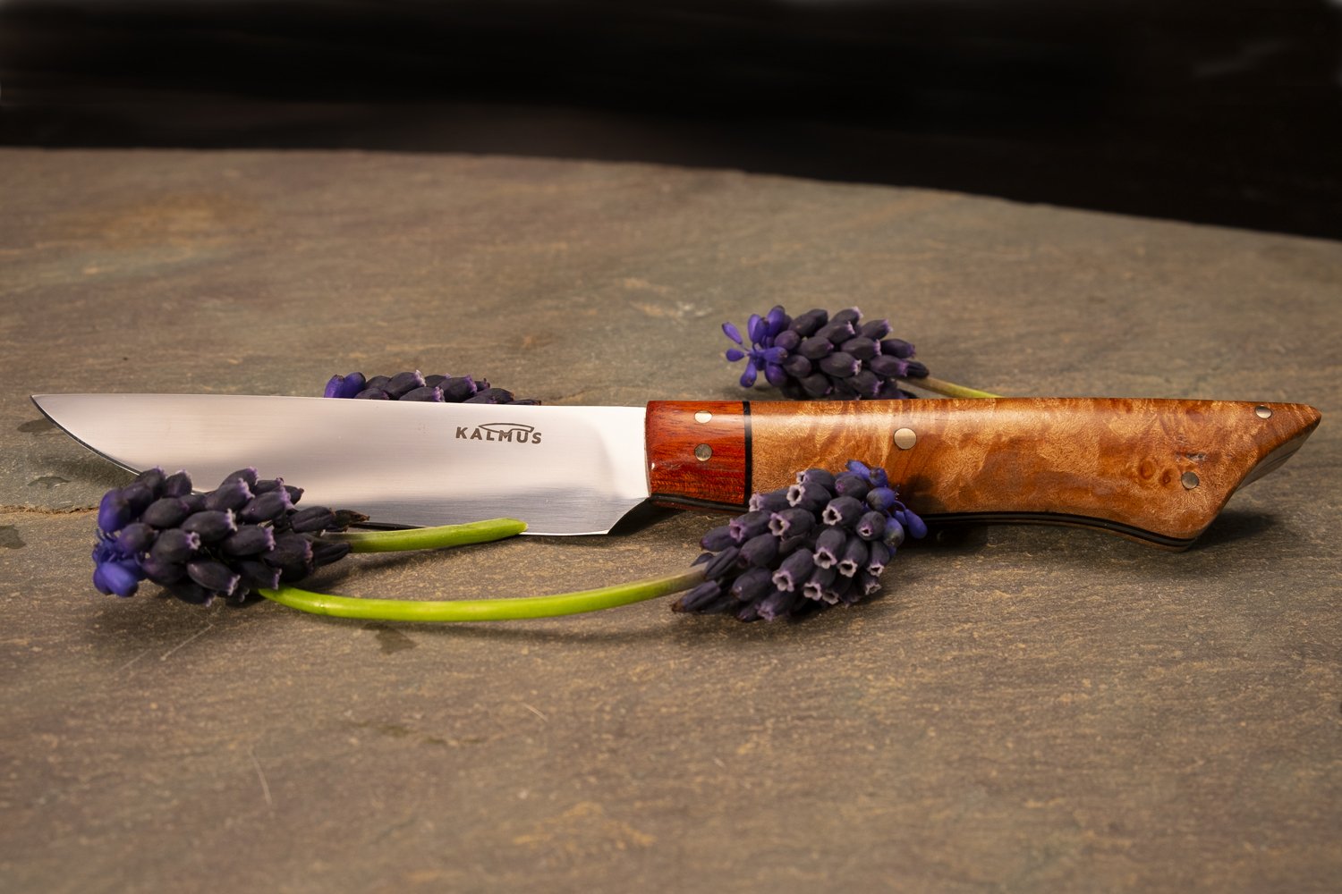 A Paring Knife