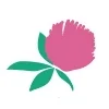 Clover1.jpg