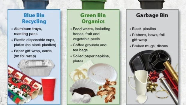 The State of Toronto's Blue Bin Recycling Program