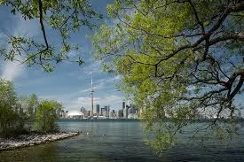 Strengthening Enforcement of Toronto’s Tree Bylaws
