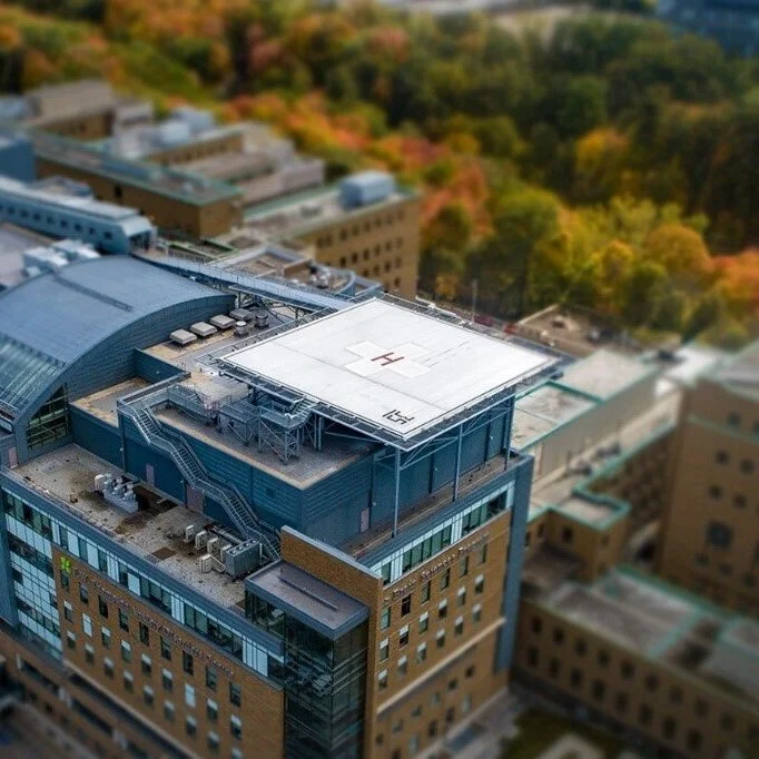 The Sunnybrook Story  