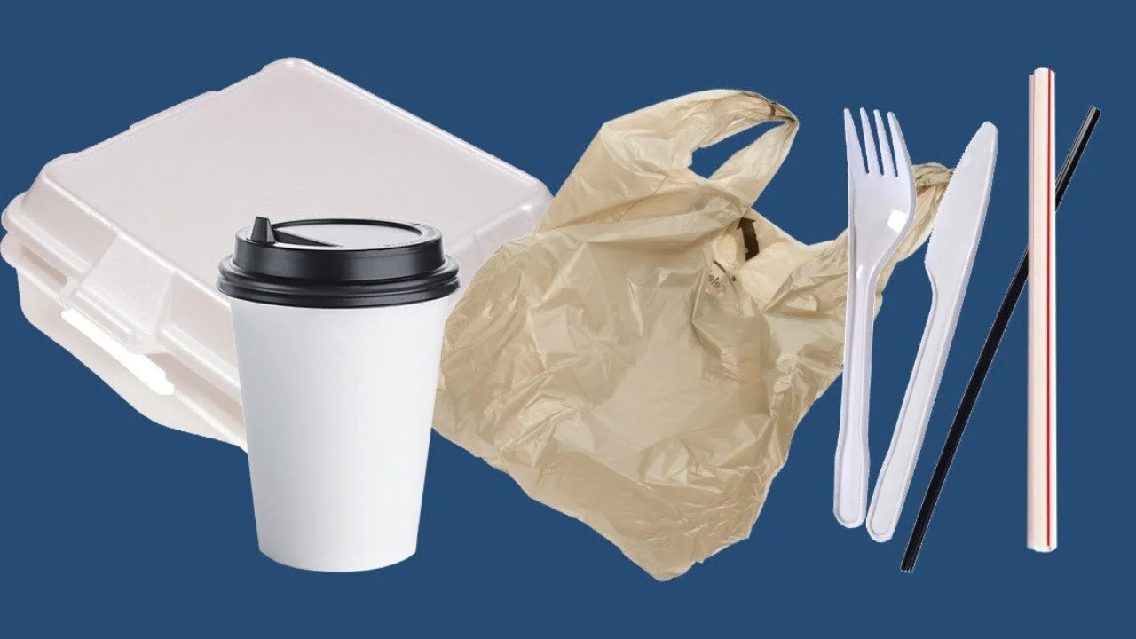 Single-Use Plastics