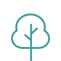 Protecting and Enhancing Toronto's Tree Canopy