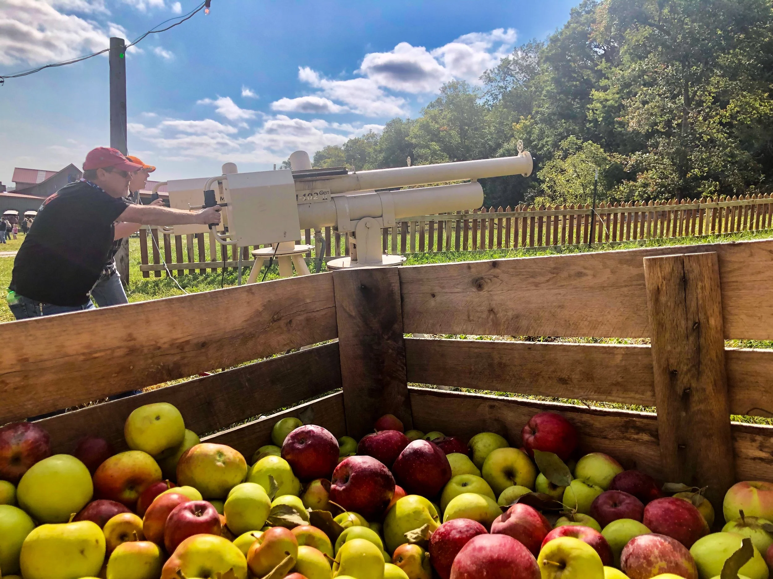 A wooden crate filled with apples and apples piled on the ground in front of it. In the background, a white cannon-like object is being aimed by a man wearing a red cap, sunglasses, and a dark shirt, with other people around under a partly cloudy sky.