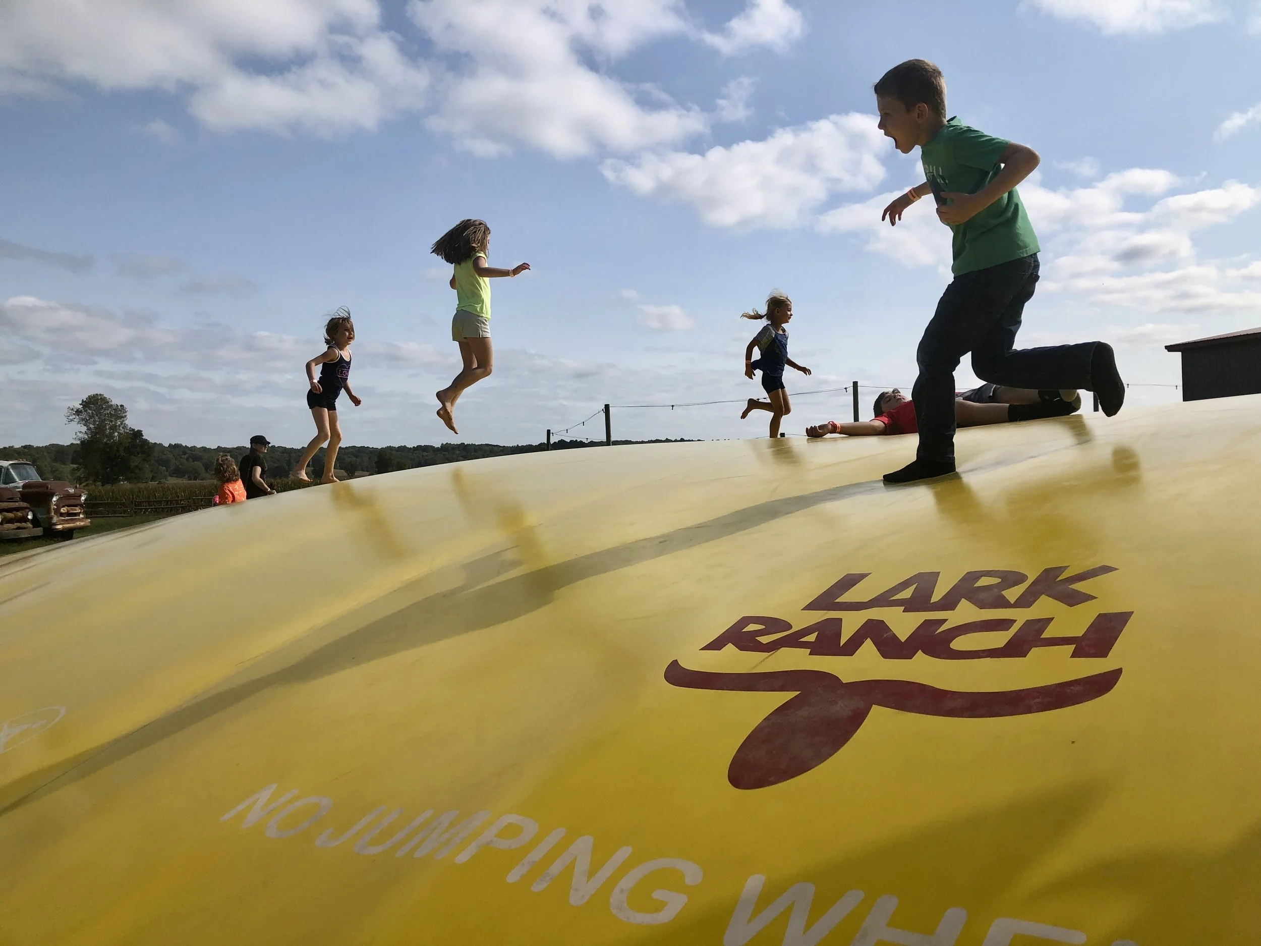 bounce pillow at Lark Ranch