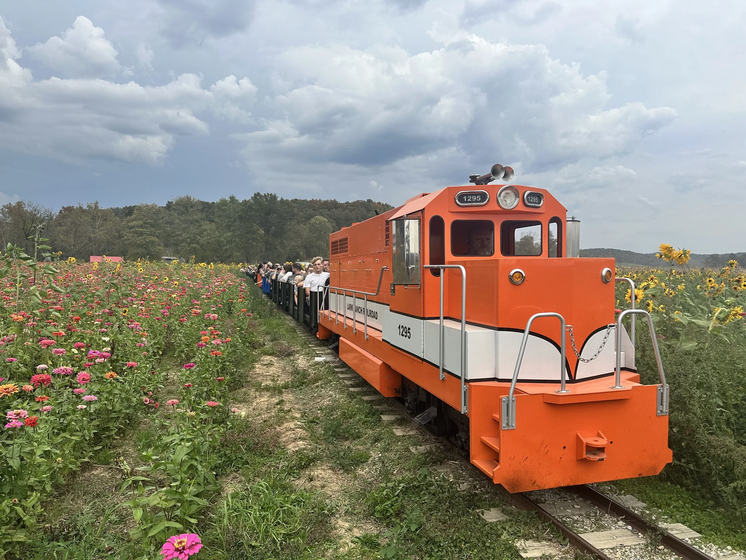 train ride at lark ranch
