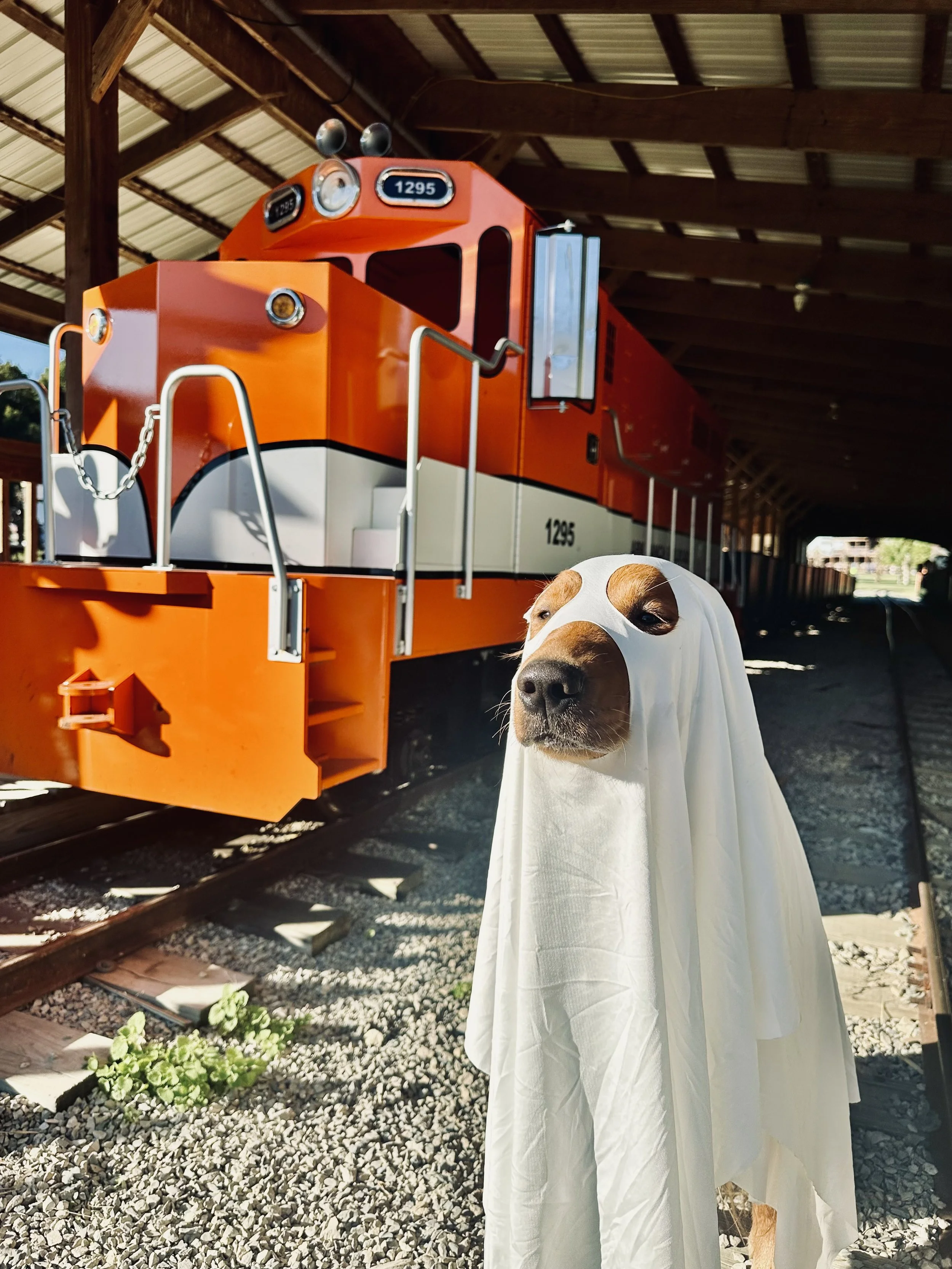 A toy train painted orange with a black and white stripe along the side, stationed under a wooden shelter with a multicolored wood and metal roof, with a dog dressed in a white sheet resembling a ghost in front of it.