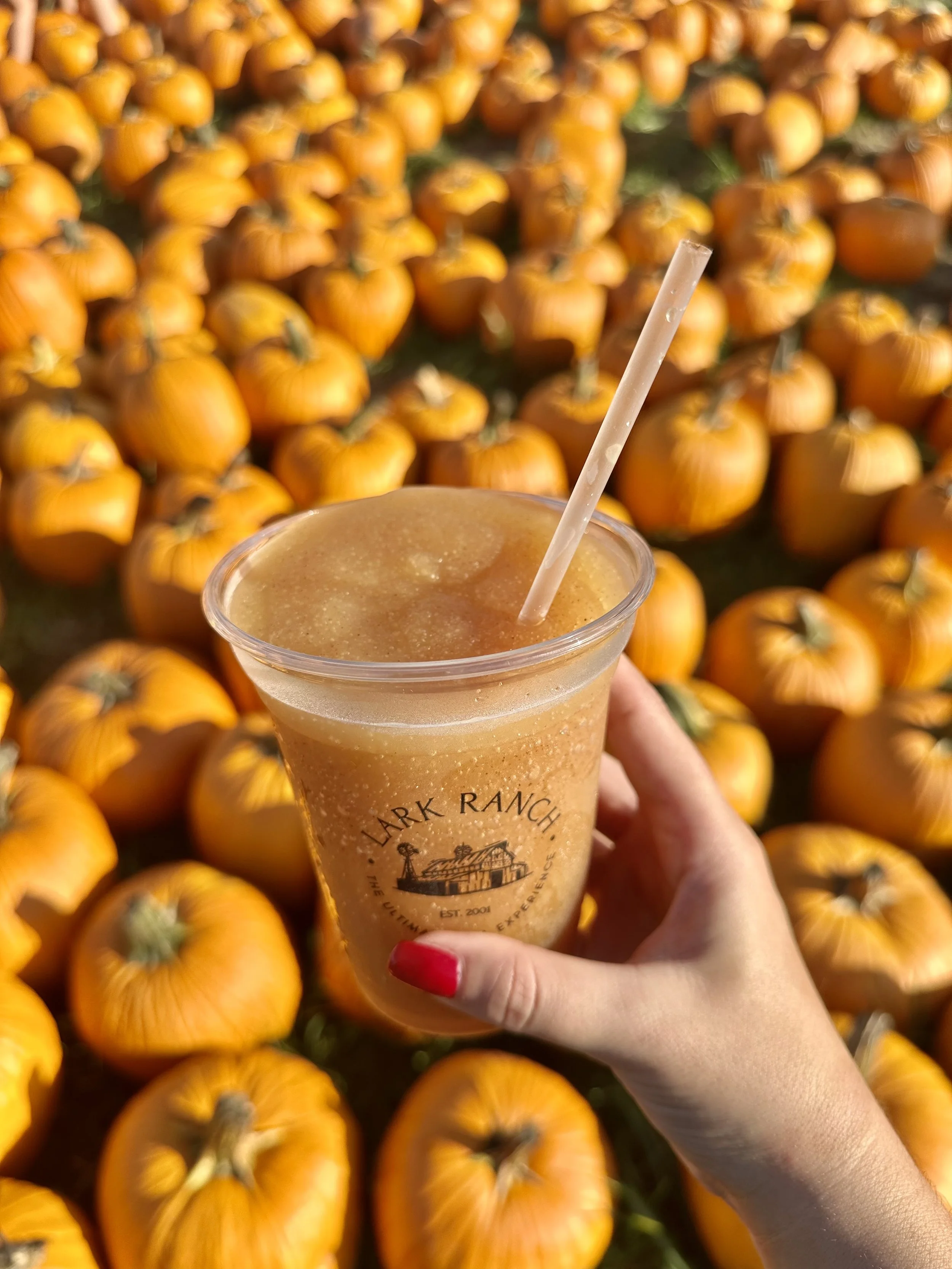 Apple Cider Slushy at Lark Ranch