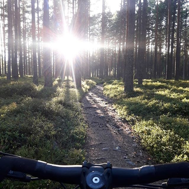 Jag &auml;r s&aring; glad &ouml;ver att bo d&auml;r det kryllar av s&aring;na h&auml;r stigar!

#uradventures #du&auml;rditt&auml;ventyr #mtb #falustigcyklister #falun #grycksbo #onone #ononecodeine #ononebikes #stigcykling