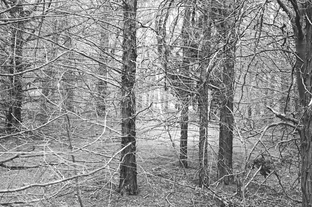 A place to lose yourself