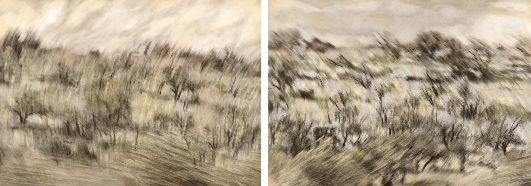 Phenomenon I and Phenomenon II (diptych)