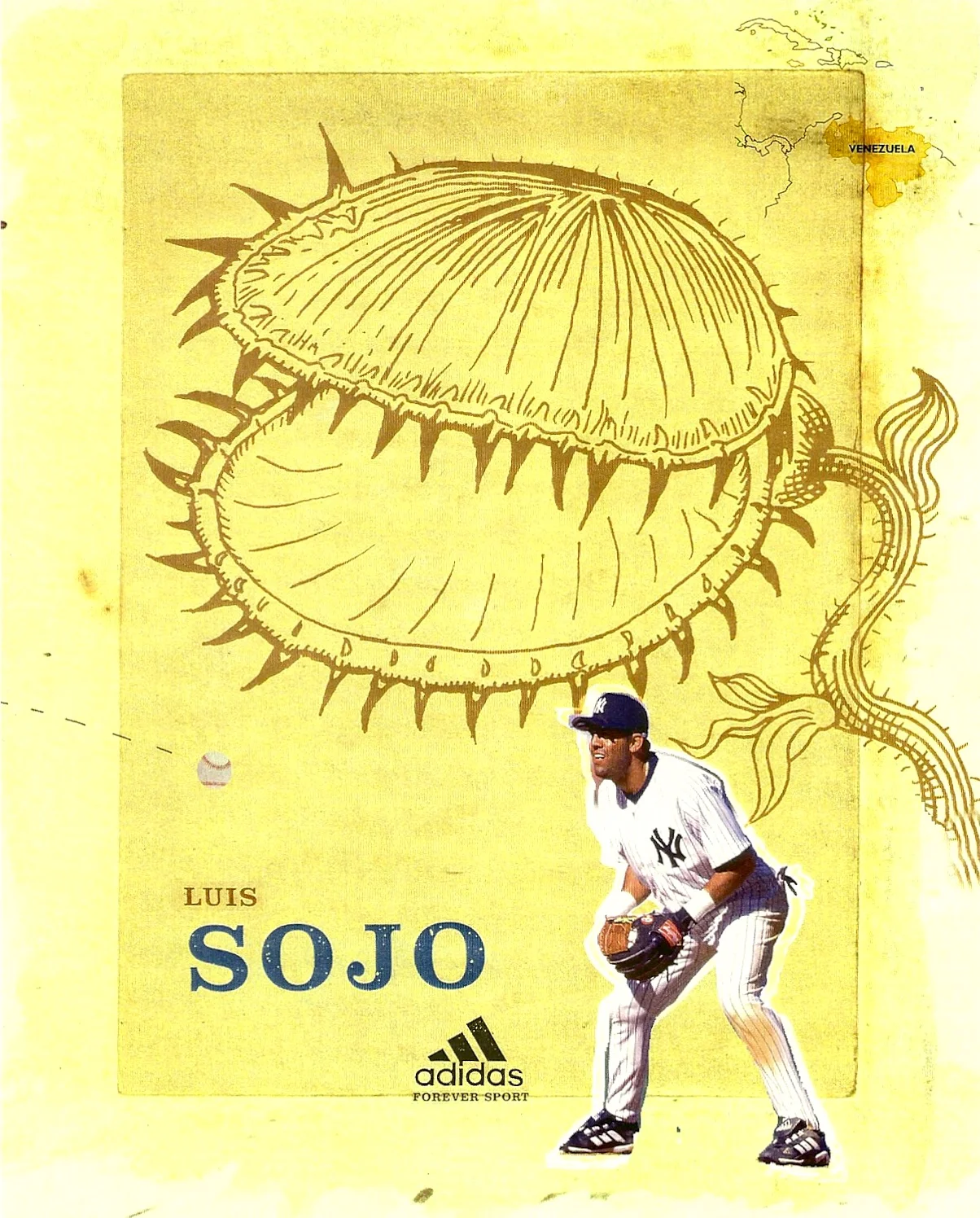 adidaslatin.Sojo.jpg